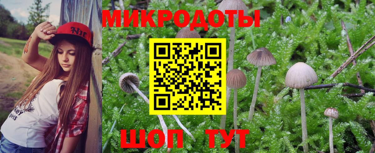 Псилоцибиновые грибы Cubensis Реутов